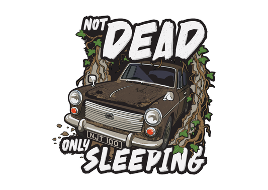 NEW Austin A40 Barn Find Sticker