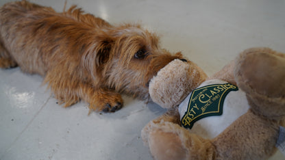 Tasty Classics Diamond Logo Mascot Dog Stuffed Toy!