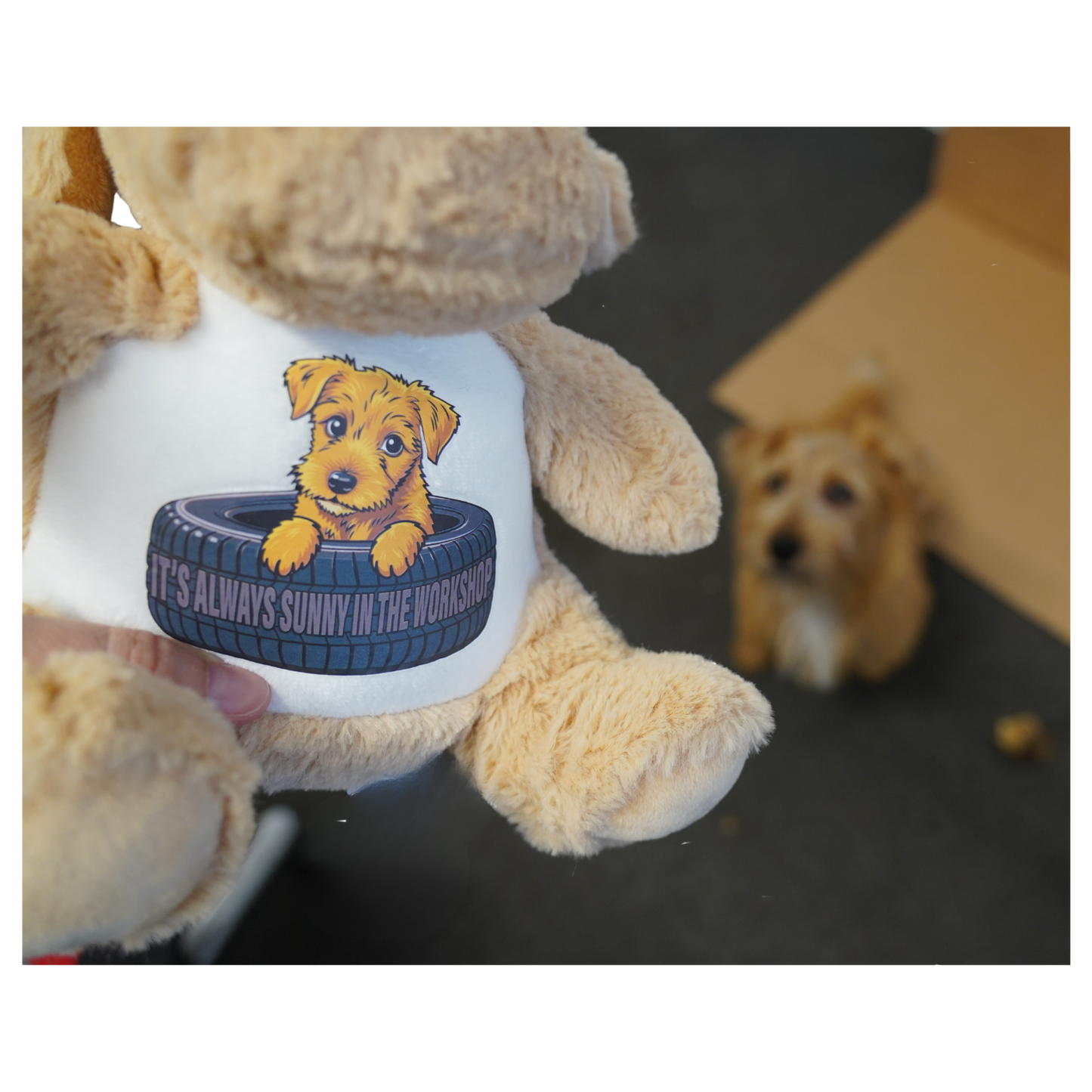 It's Always Sunny Logo Mascot Dog Stuffed Toy! (Pre-order now, available end of July!)